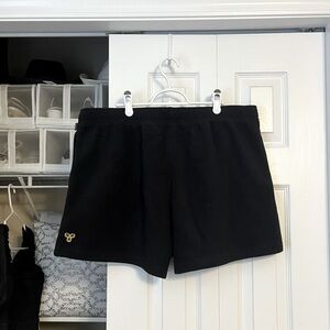 Aritzia Golden Polar Fleece Shorts
